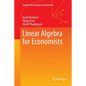Linear Algebra for Economists - Paperback