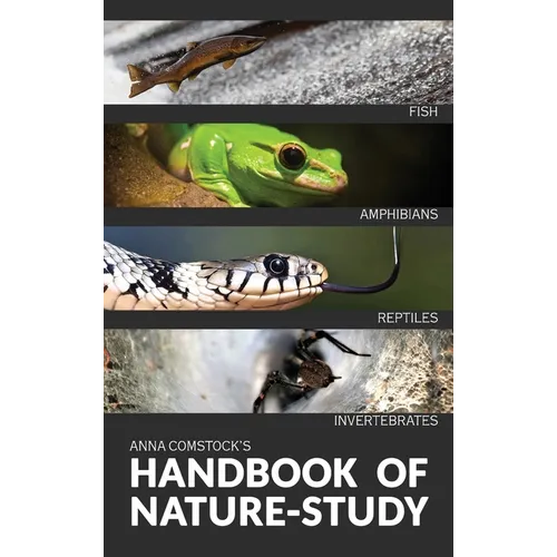 The Handbook Of Nature Study in Color - Fish, Reptiles, Amphibians, Invertebrates - Hardcover