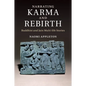 Narrating Karma and Rebirth - Paperback