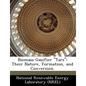 Biomass Gasifier Tars: Their Nature, Formation, and Conversion. - Paperback