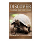 Turtle Or Tortoise - Discover: Early reader's wildlife photography book - Paperback