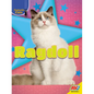 Ragdoll - Library Binding