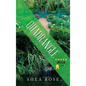 Quadrangle - Hardcover