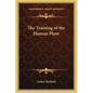 The Training of the Human Plant - Paperback