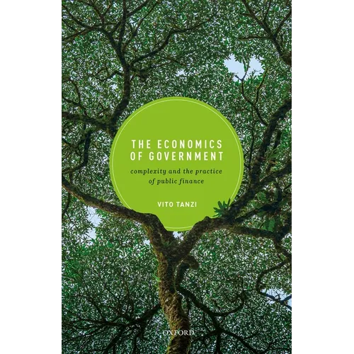 Economics of Government: Complexity and the Practice of Public Finance - Hardcover