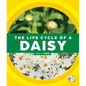 The Life Cycle of a Daisy - Library Binding
