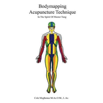 Bodymapping Acupuncture Technique: In the Spirit of Master Tung - Paperback