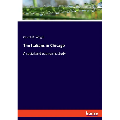 The Italians in Chicago: A social and economic study - Paperback