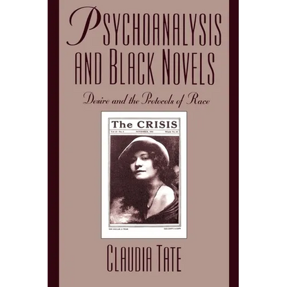 Psychoanalysis and Black Novels: Desire and the Protocols of Race - Paperback