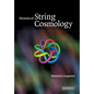 Elements of String Cosmology - Paperback