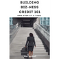 Building Biz-Ness Credit 101 - Paperback