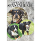 The Appenzeller Sennenhunde: A Complete and Comprehensive Owners Guide To: Buying, Owning, Health, Grooming, Training, Obedience, Understanding and - Paperback