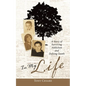 In My Life: A Story of Surviving Addiction and Defying Death - Paperback