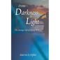 From Darkness to Light: The Strange Life of Marty Wilkins - Hardcover