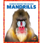 Mandrills - Paperback