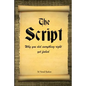 The Script: Why You Did Everything Right Yet Failed - Paperback