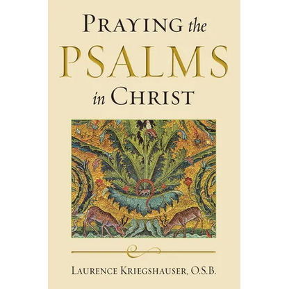 Praying the Psalms in Christ - Paperback