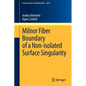Milnor Fiber Boundary of a Non-Isolated Surface Singularity - Paperback