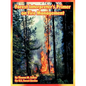 Forest Interpreter's Primer on Fire Management - Paperback