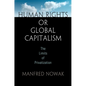 Human Rights or Global Capitalism: The Limits of Privatization - Hardcover