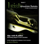 Irish Session Tunes (For Dulcimer), Volume 1 - Paperback