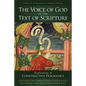 The Voice of God in the Text of Scripture: Explorations in Constructive Dogmatics - Paperback