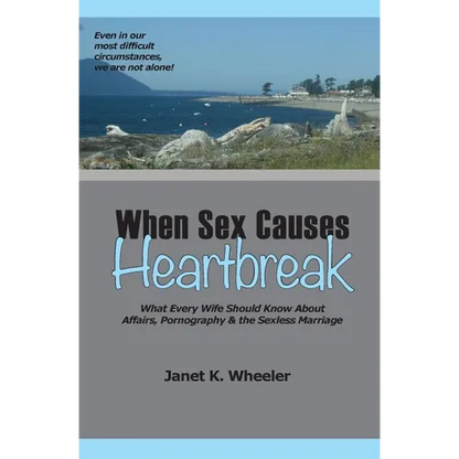 When Sex Causes Heartbreak: What Every Wife Should Know About Affairs, Pornography & the Sexless Marriage - Paperback