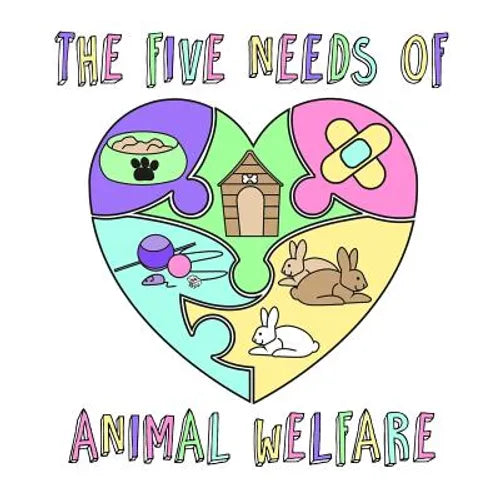 The Five Needs of Animal Welfare - Paperback
