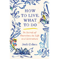 How to Live. What to Do: In Search of Ourselves in Life and Literature - Hardcover