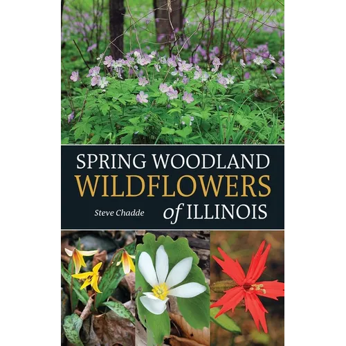 Spring Woodland Wildflowers of Illinois - Paperback