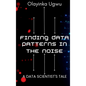 Finding Data Patterns in the Noise: A Data Scientist's Tale - Hardcover