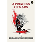 A Princess Of Mars - Paperback