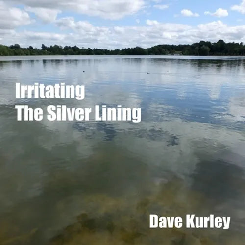 Irritating the Silver Lining - Paperback