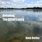 Irritating the Silver Lining - Paperback