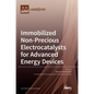 Immobilized Non-Precious Electrocatalysts for Advanced Energy Devices - Hardcover