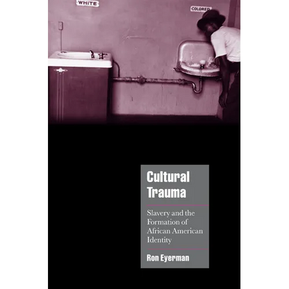 Cultural Trauma: Slavery and the Formation of African American Identity - Paperback