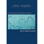Lyric Poetry: The Pain and Pleasure of Words - Hardcover