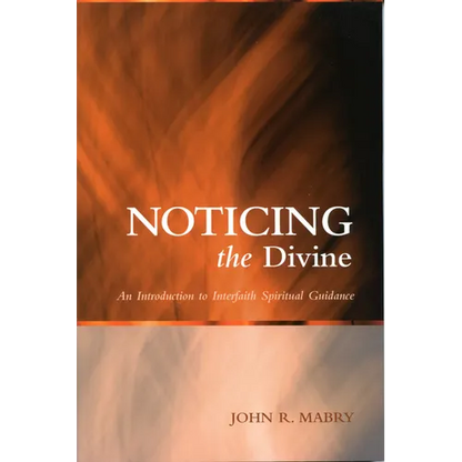 Noticing the Divine: An Introduction to Interfaith Spiritual Guidance - Paperback