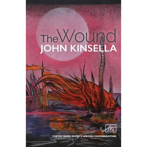 The Wound - Paperback