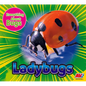 Ladybugs - Library Binding
