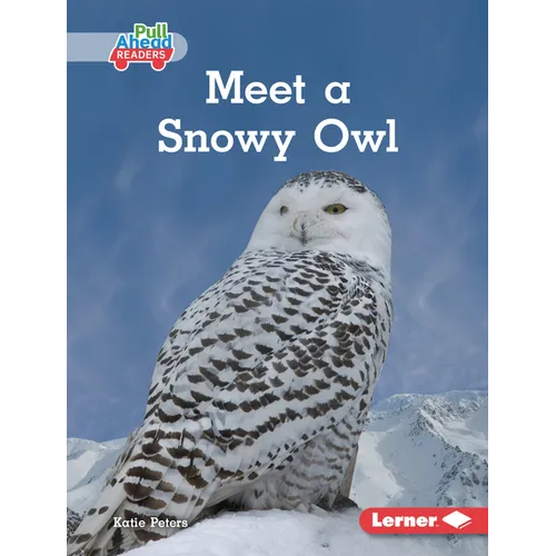 Meet a Snowy Owl - Library Binding