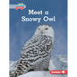 Meet a Snowy Owl - Library Binding