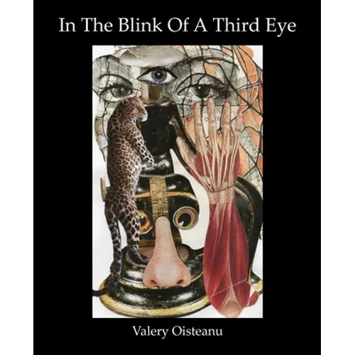 In The Blink of A Third Eye: Poetry, flash-fiction, drawing-collages - Paperback