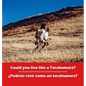 Could you live like a Tarahumara? ¿Podrias vivir como un Tarahumara?: bilingual English and Spanish - Hardcover