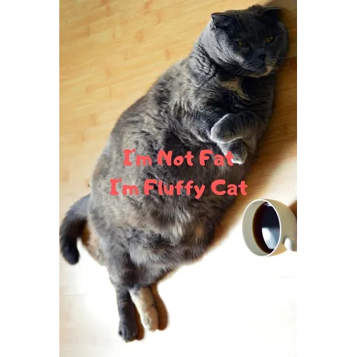 I'm Not Fat I'm Fluffy Cat Gift For Mom Wife Lover Women Sister Nurse - Paperback