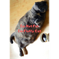 I'm Not Fat I'm Fluffy Cat Gift For Mom Wife Lover Women Sister Nurse - Paperback