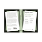Essential Papers on Hasidism - Paperback