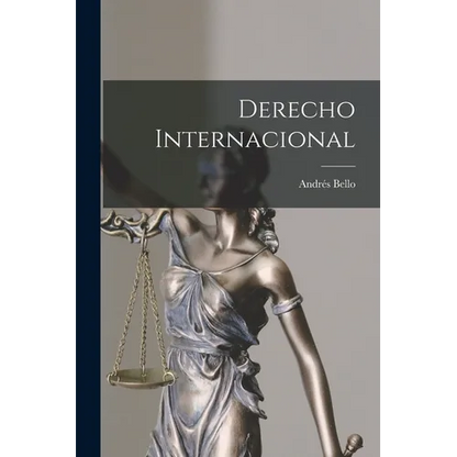 Derecho Internacional - Paperback