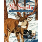 My Sweety - The Heartache of Loving a Deer - Paperback