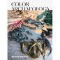 Beatriz Morales: Color Archaeology - Hardcover